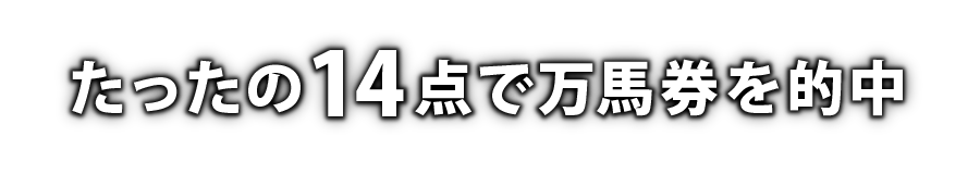 たったの14点で万馬券を的中